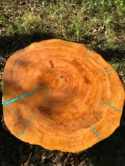 Cypress and Emerald Coffee Table